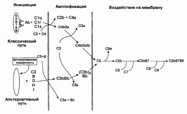 head3-1.jpg