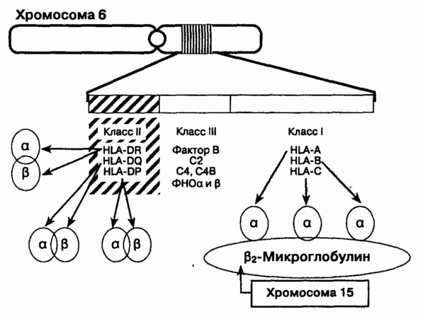 head3-4.jpg
