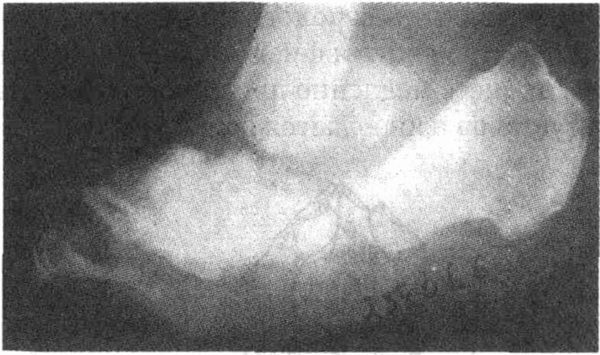 head9-10.jpg