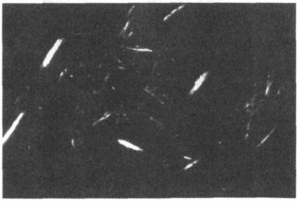 head9-2.jpg