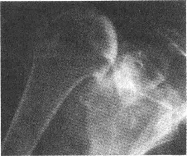 head9-7.jpg