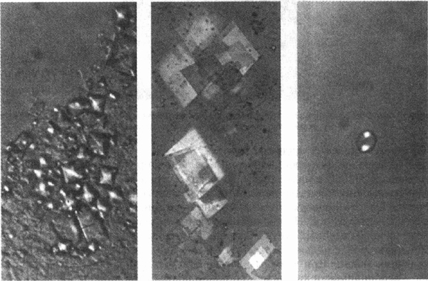head9-8.jpg