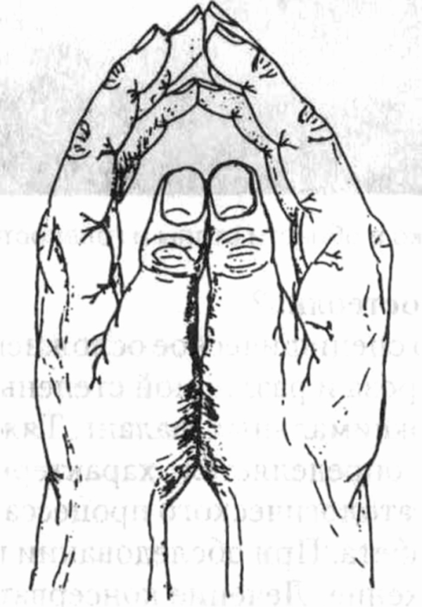 head9-9.jpg