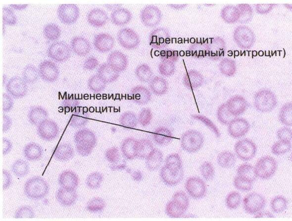 1-4.jpg