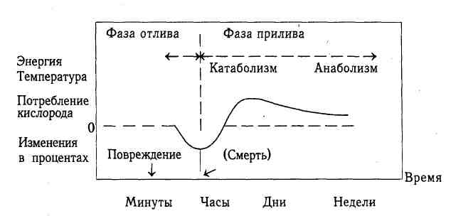 1-1.jpg
