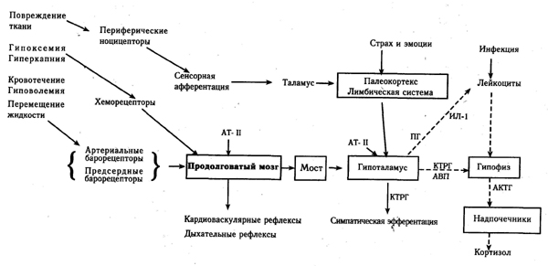 1-2.jpg