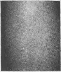 tmp2D3-2.jpg