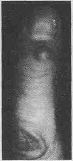 tmp2D3-3.jpg
