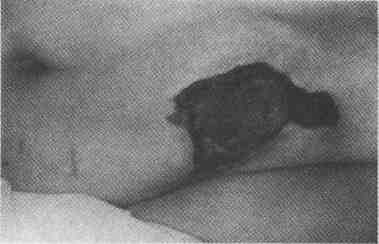 tmp2D3-5.jpg