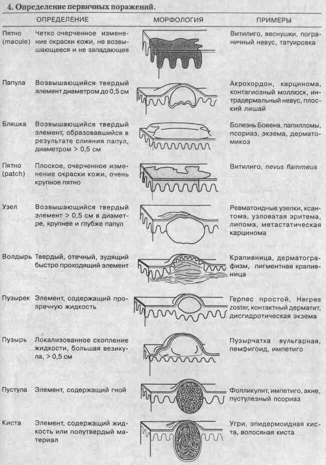 tmp3362-4.jpg