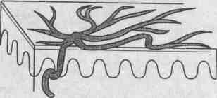 tmp3362-6.jpg