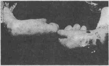 tmpA171-4.jpg