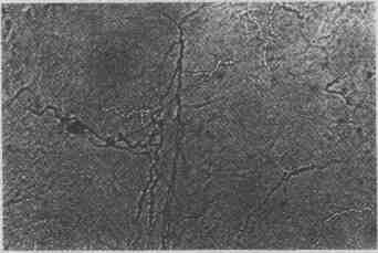 tmpC1F0-5.jpg